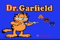 加菲猫博士