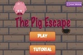 Escape del porc