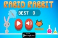 Rabid Rabbit