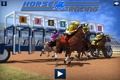 Betting on Horse Racing V12482