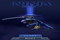 Ninja v akci