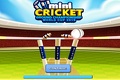 Nationale Cricketcup