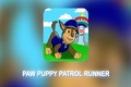 Super Paw Patrol: Приключенческий бегун