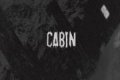 Cabin: Horror Extremo