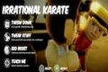 Karate fights