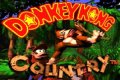 Dixie Kong Country