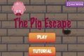 Escape del cerdo