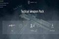 Tactical Weapons Package
