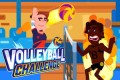Volleyball-Challenge