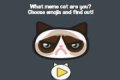 Discover which Cat Meme you are