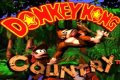 Donkey Kong Country con Dixie Hackrom
