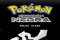 Pokémon Negro NDS