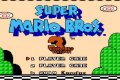 Super Mario Bros. 3 Crowned-KoopaPeach Game
