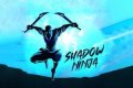 Shadow Ninja Venganza