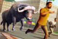 Wild bull attack