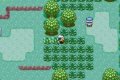 Pokemon: Inclement Smaragd