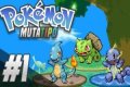 Pokemon Mutatype Beta 0.3 Game