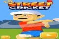 Cricket Callejero