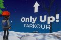 Only Up Online: Parkour