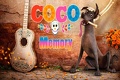 Coco memory