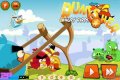 Angry Birds: Punitore
