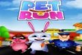 Running with Pet Run