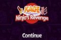 Ninja's Revenge