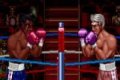 Riddick Bowe Boxing 3D