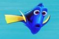 Follow the adventure of looking for Dory