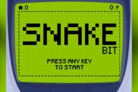 Nokia 3310: Snake