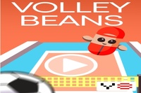 Feijão de vôlei