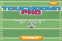 Touchdown Pro
