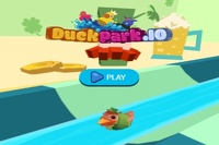 Duck Park IO