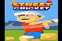 ストリートクリケット