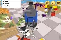 Vendita al dettaglio di procioni