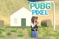 PUBG Pixel 2