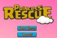 Rescue the Princess from the Tower