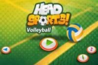Sports de tête: Volleyball
