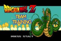 Dragon Ball Z Teamtraining V8 Neu