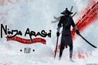 Ninja Arashi Adventures