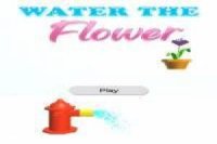 Çiçeği sula