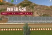 Funny racing bull