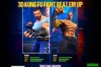 3D Kung Fu Fight beat em up