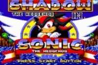 Sombreie o ouriço no Sonic 1