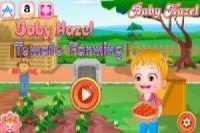 Baby Hazel: Siembra tomate