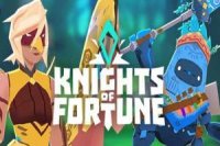 Knights Of Fortune 3D