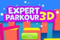 Experten-Parkour 3D