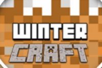 Winter craft