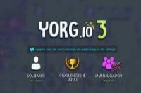 Yorg IO 3
