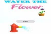 Water Flower: Regar las Plantas